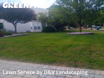 Grass Cut nearby Plainfield, IL, 