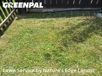 Lawn Care Service nearby Birmingham, AL, 
