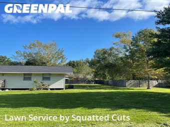 Yard Mowing nearby Maurice, LA, 