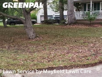 Yard Cutting nearby Chesapeake, VA, 