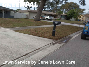 Lawn Cut nearby Clearwater, FL, 