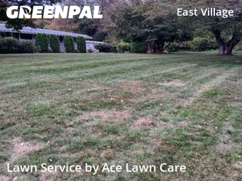 Lawn Care Service nearby Monroe, CT, 