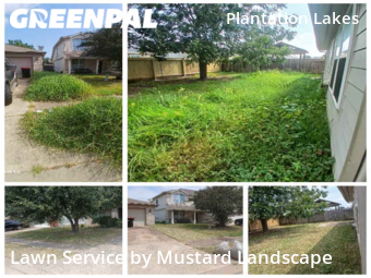 Grass Cut nearby Katy, TX, 