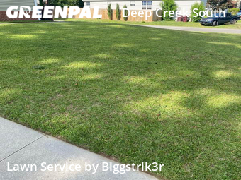 Grass Cutting nearby Chesapeake, VA, 