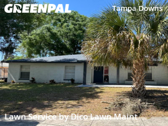 Yard Cutting nearby Lutz, FL, 