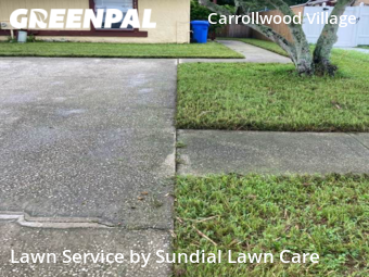 Lawn Maintenance nearby Tampa, FL, 