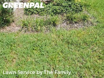 Grass Cut nearby Apopka, FL, 