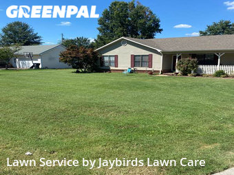 Grass Cutting nearby Decatur, AL, 