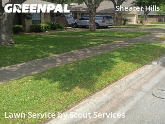 Grass Cut nearby San Antonio, TX, 