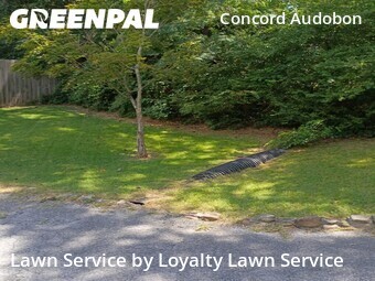 Lawn Mow nearby Chattanooga, TN, 