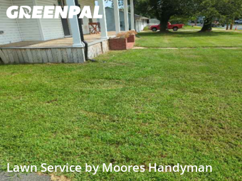 Turf Services in Magnolia, 19962, Yard Management by Moores Handyman, work completed in Nov , 2025