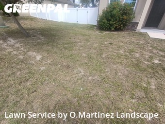 Lawn Care nearby Mascotte, FL, 