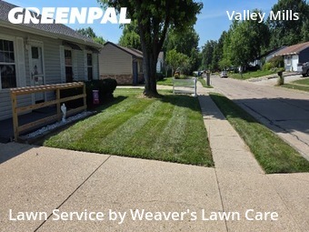 Yard Cutting nearby Indianapolis, IN, 