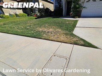 Grass Cutting nearby Lancaster, CA, 