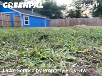 Yard Cutting nearby Fort Worth, TX, 