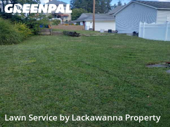 Yard Grooming in Scranton, 18504, Yard Care by Lackawanna Property, work completed in Nov , 2025