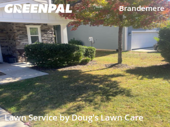 Yard Cutting nearby Raleigh, NC, 