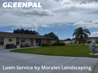 Yard Mowing nearby Cape Coral, FL, 