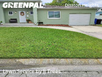 Grass Cut nearby St. Petersburg, FL, 