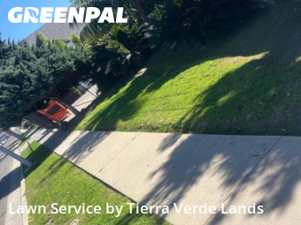 Work completed by local-lawn-and-landscape-maintenance-services-near-me-in-Carson-CA