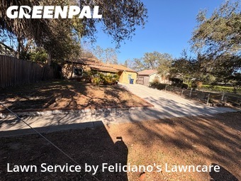 Grass Cut nearby Tampa, FL, 