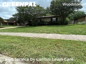 Lawn Maintenance nearby San Antonio, TX, 