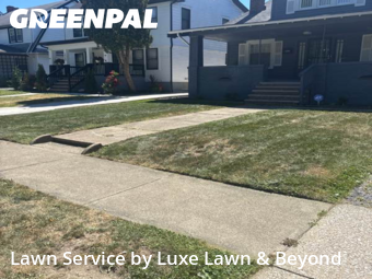 Yard Cutting nearby Cleveland Heights, OH, 