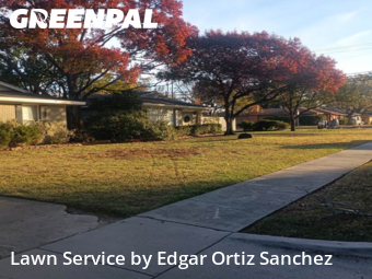 Lawn Cuttingin Richardson,75080,Lawn Cut by Edgar Ortiz Sanchez, work completed in Dec , 2025