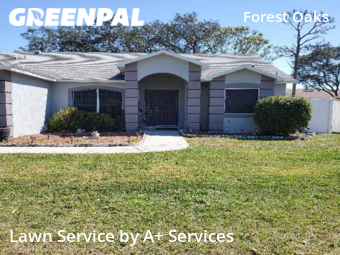 Lawn Cut nearby Spring Hill, FL, 