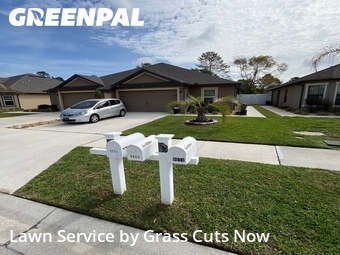 Lawn Cutting nearby Brooksville, FL, 