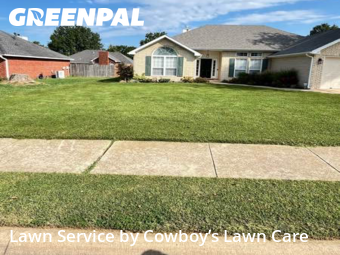 Yard Care Services in Rogers, 72756, Yard Care Services by Cowboy’s Lawn Care, work completed in Nov , 2025
