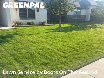 Yard Cutting nearby Wolfforth, TX, 