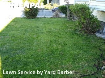 Lawn Care Service nearby Watertown, MA, 
