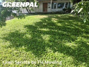 Yard Mowing nearby Decatur, IL, 