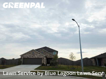 Lawn Maintenancein Rosenberg,77471,Lawn Cut by Blue Lagoon Lawn Serv, work completed in Feb , 2026