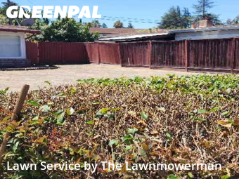 Work completed by grass-cutting-businesses-in-Sunnyvale-CA