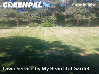 Lawn Care Service nearby Arvada, CO, 