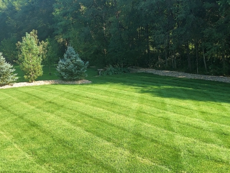 Michalski Lawn Care Lawn Care Services in Omaha, NE
