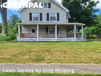 Lawn Cut nearby Delmar, NY, 