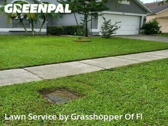 Lawn Cut nearby Valrico, FL, 