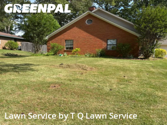 Lawn Mow nearby Brandon, MS, 