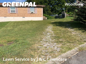 Grass Cut nearby Nashville, TN, 