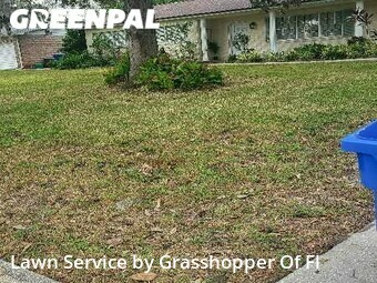 Lawn Mowing Service nearby Brandon, FL, 