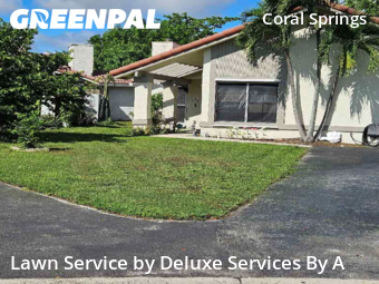 Grass Care in Coral Springs, 33065, Lawn Management by Deluxe Services By A, work completed in Nov , 2025