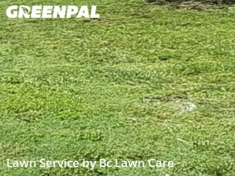 Lawn Care Service nearby Wake Forest, NC, 