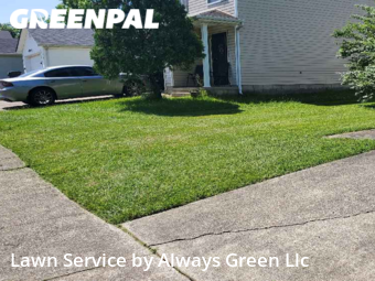 Yard Mowing nearby Lexington, KY, 