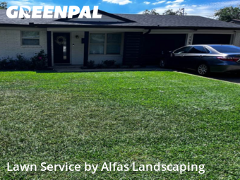Yard Maintenance in Farmers Branch, 75234, Yard Care by Alfas Landscaping, work completed in Dec , 2025
