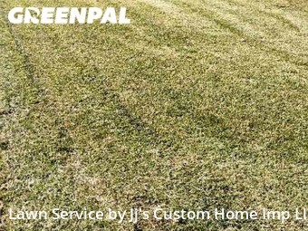 Yard Cutting nearby Cherry Hill, NJ, 