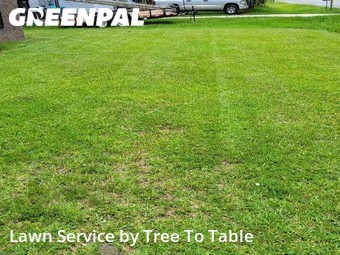 Grass Cutting nearby Ladson, SC, 