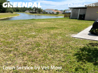 Lawn Mow nearby Wesley Chapel, FL, 